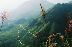 Hoang Lien Son mountain pass becomes national destination