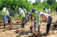 Vietnam, EU share expertise in coping with climate change