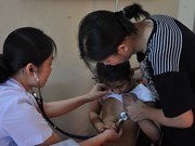 Over 1,500 children get free heart checks in Gia Lai