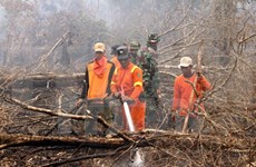 Indonesia sends soldiers to contain forest fires