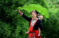 Vietnam contest shows photo, video skills