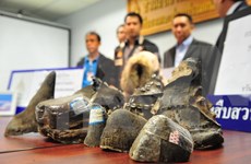 Customs sector calls for joint efforts against wildlife trafficking
