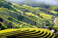 Cultural event spotlights Ha Giang’s terraced paddy fields
