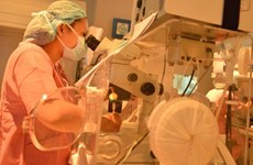 Fertility ward helps Hanoi couples