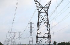 Dong Nai: 99.49 pct of households access national power grid