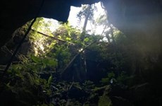  New cave discovered in Cha Noi forest