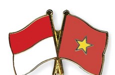 Vietnam, Indonesia forge stronger economic connections