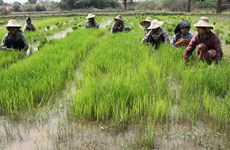World Bank cuts Myanmar economic growth rate