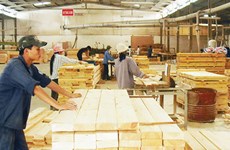  Order decline challenges Binh Dinh’s wood exporters 