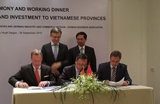 Vietnamese localities, German businesses boost trade links 