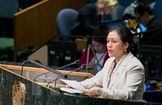 Vietnamese Ambassador urges continued UN reform 