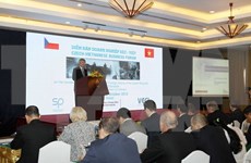 Vietnamese and Czech firms to foster links 