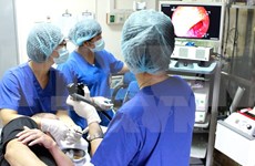 Hanoi promotes high-tech application in health care