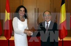 Vietnam, Belgium boost co-operation through parliamentary diplomacy