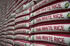 Thailand wins 20 million USD rice contract with Indonesia 
