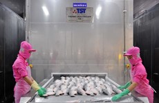 Aquaculture centre to be formed in Can Tho 
