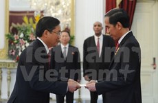 Vietnam-Indonesia stronger ties hoped for ASEAN Community growth 