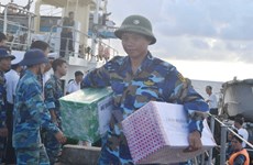 Tet gifts come to Truong Sa island district