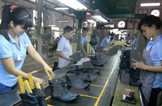 Vietnam’s footwear sector readies for TPP 