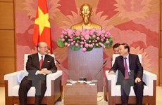 Vietnam, Japan parliamentary groups boost links