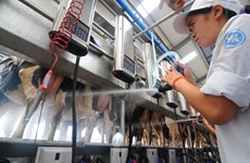 New standards to be set for raw milk 