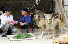 Vietnam responses to animal health and zoonoses 