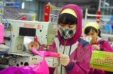 Binh Duong: More FDI poured into garment sector 