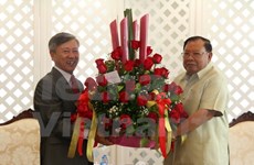 Vietnamese diplomat congratulates Laos’ newly-elected President 