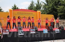 Vietnamese expats in RoK enjoy cultural-sport festival
