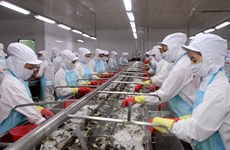 Vietnam, US ink antidumping duty agreement over Vietnamese shrimp 