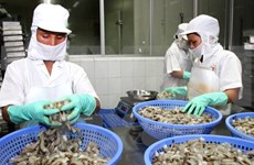 Australia to intensify inspection of imported seafood from VN