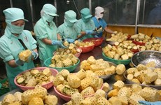 Vietnam’s exports reach 96.83 billion USD in seven months