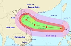 Localities prone to typhoon Sarika on full alert