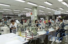 Bulgarian firms learn about investment chances in Binh Duong