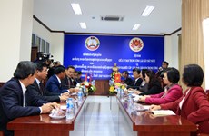 Vietnamese commission, Lao front keep close coordination