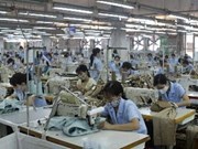  TPP’s rule of origin challenges Vietnam’s apparel industry