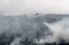 Malaysia, Indonesia hold dialogue on forest fires, haze pollution