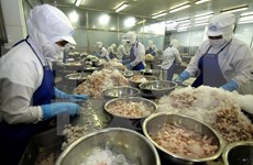 Bac Lieu sees record high seafood exports