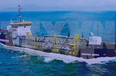  Vessel for Russian firm launched in Da Nang 