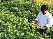 Farmers complete training for sustainable plant harvesting 
