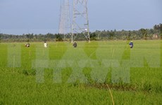 Japan puts stress on agricultural deal with Vietnam 