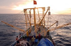Vietnam, China launch joint survey of waters off Gulf of Tonkin