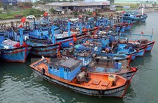 Quang Tri fishing vessels to be equipped with LED lights