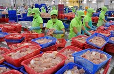 Tra fish export forecast to drop 5 percent this year