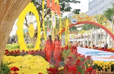 HCM City to welcome New Year with spring flower festival 