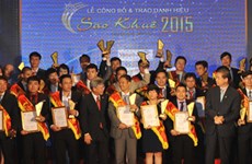 Vietnam IT firms awarded