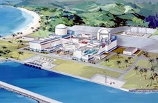 HCM City proposes new 520 million USD power plant