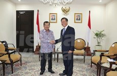 Indonesia, Vietnam pledge to boost strategic partnership