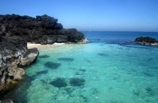 Quang Ngai province to establish sea reserve