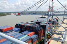Southern ports need management revamp: official